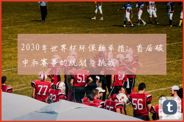 2030年世界杯环保新举措：首届碳中和赛事的规划与挑战