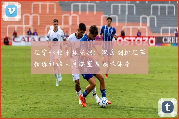 辽宁vs北京焦点战:深度剖析辽篮教练组的人员配置与战术体系