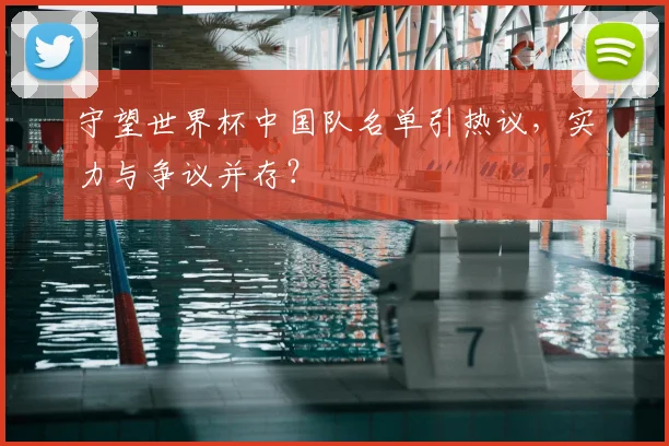 守望世界杯中国队名单引热议，实力与争议并存？