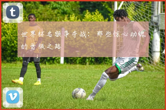 世界杯名额争夺战：那些惊心动魄的晋级之路