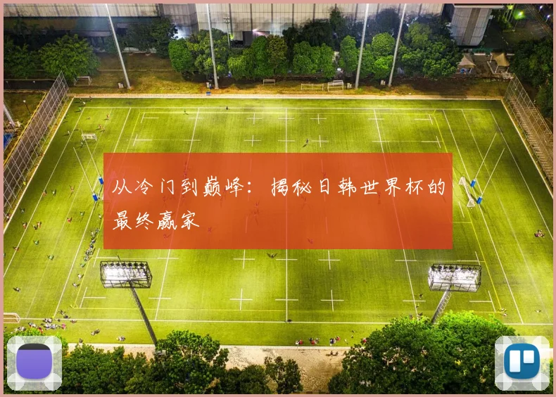 从冷门到巅峰：揭秘日韩世界杯的最终赢家