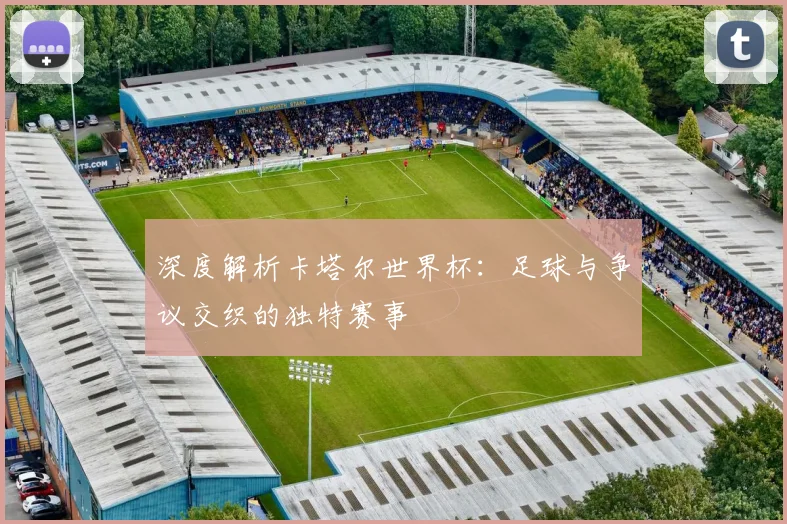 深度解析卡塔尔世界杯：足球与争议交织的独特赛事