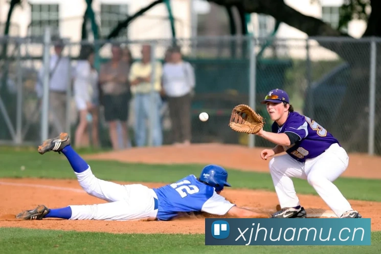 星空体育在线官网入口平台生态图